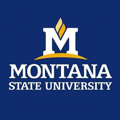 Montana State University (Jabs)