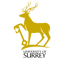 Surrey University - Surrey Business School